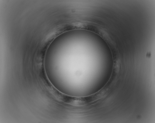 X0000113260466200909171654