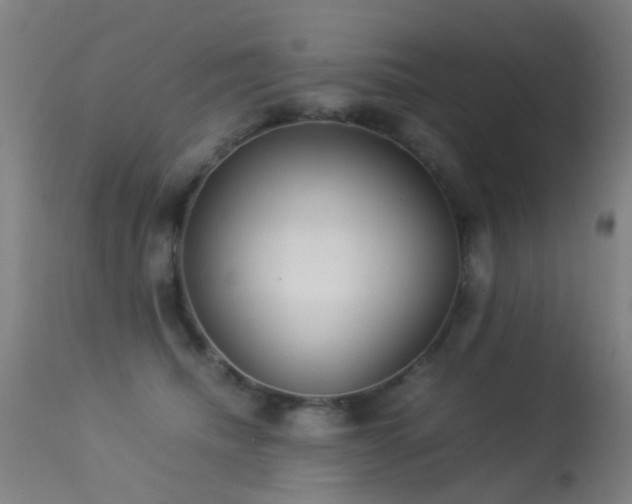 X0000113260468200909171654