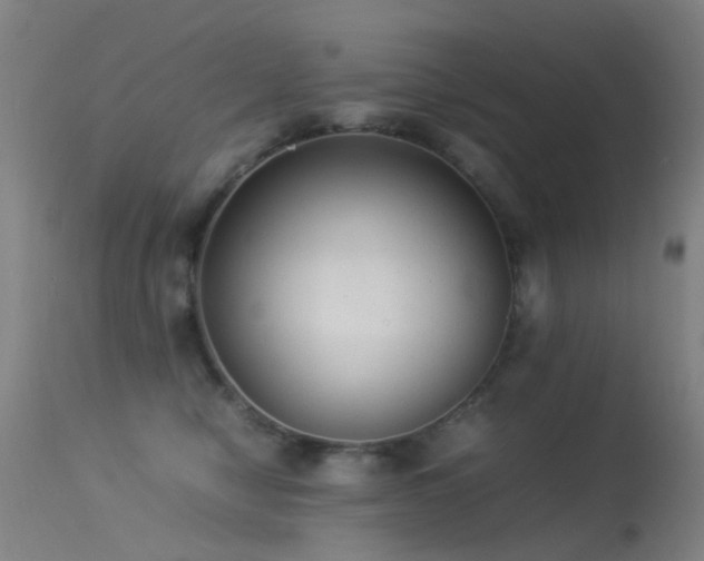 X0000113260470200909171654