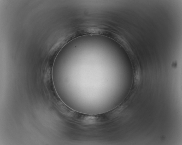 X0000113260473200909171654