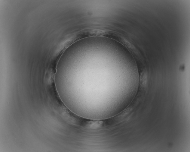 X0000113260474200909171654