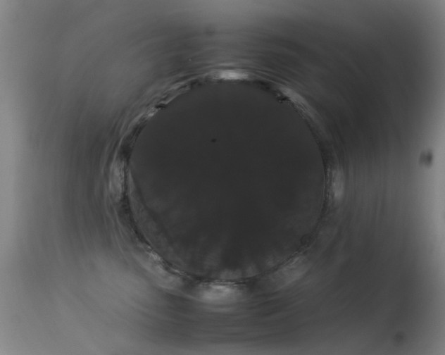 X0000113260475200909171654