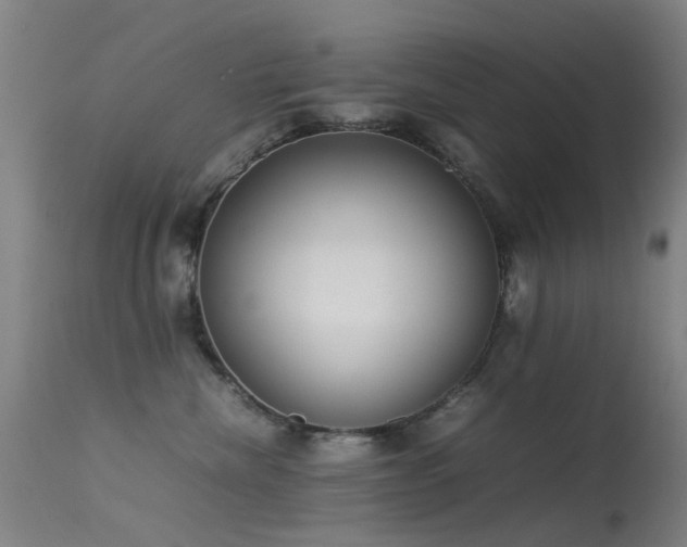 X0000113260476200909171654