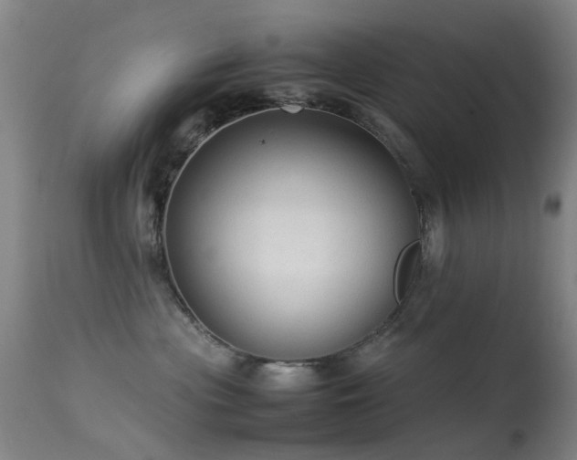 X0000113260477200909171654