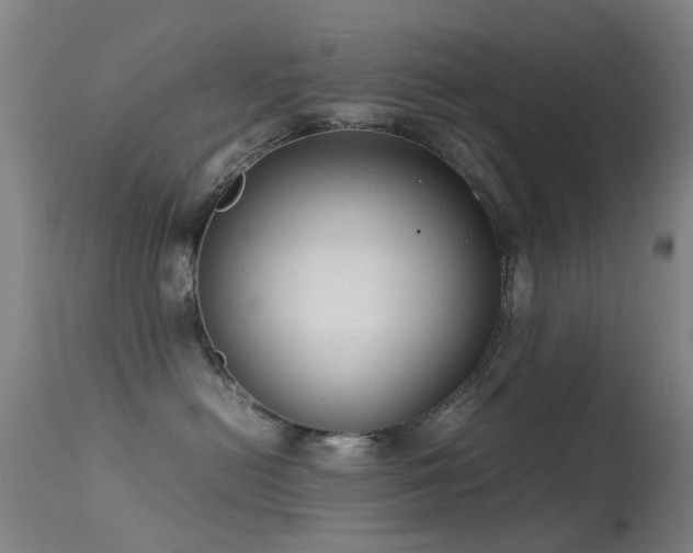 X0000113260478200909171654