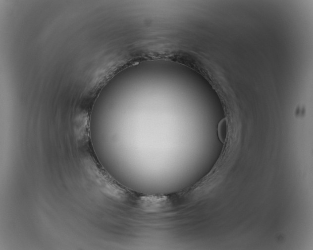 X0000113260480200909171654