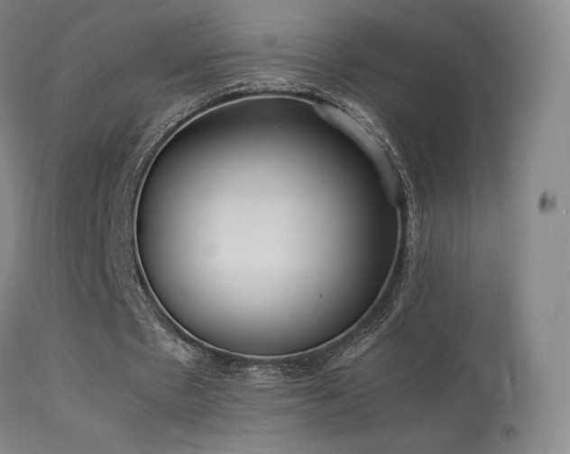 X0000113260481200909171653