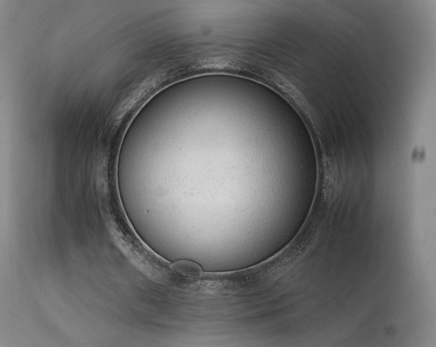 X0000113260482200909171653