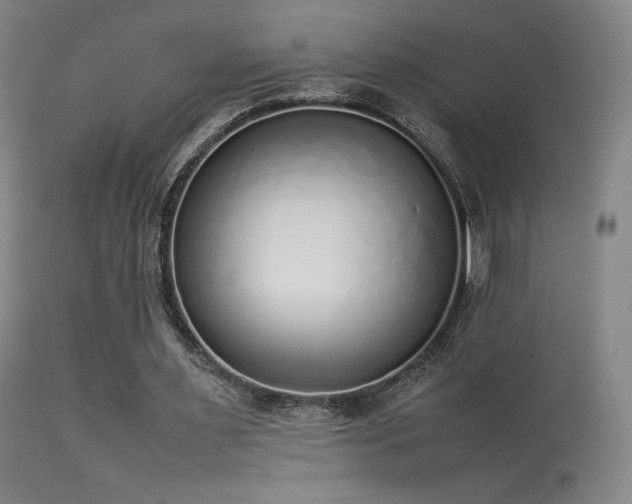 X0000113260483200909171653