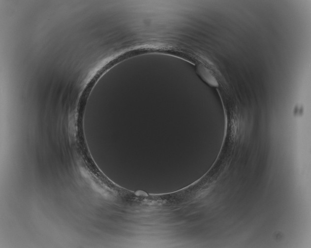 X0000113260484200909171653