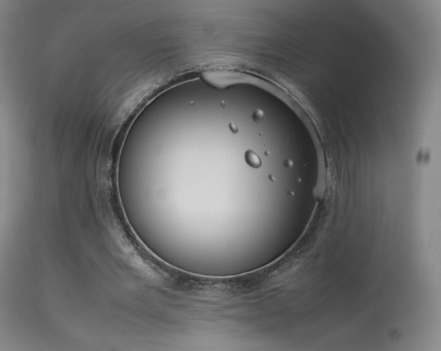 X0000113260485200909171653