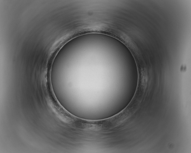 X0000113260486200909171653