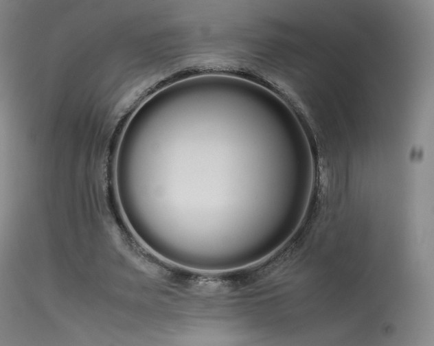 X0000113260487200909171653