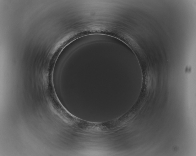 X0000113260488200909171653