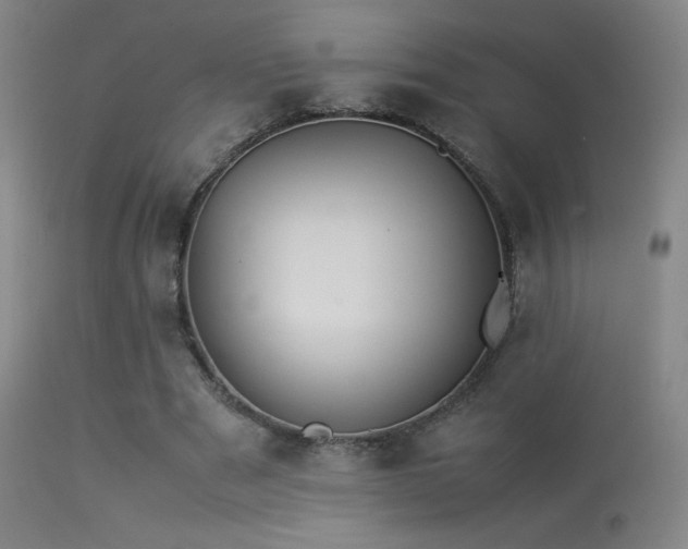 X0000113260489200909171653