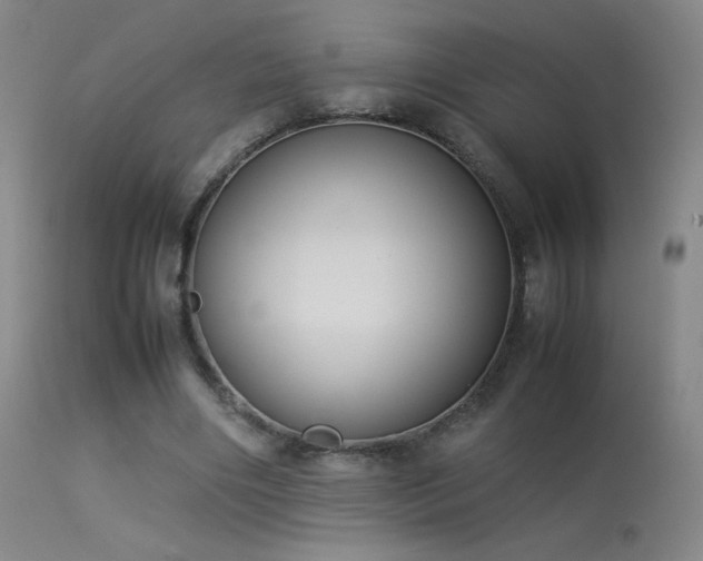 X0000113260490200909171653