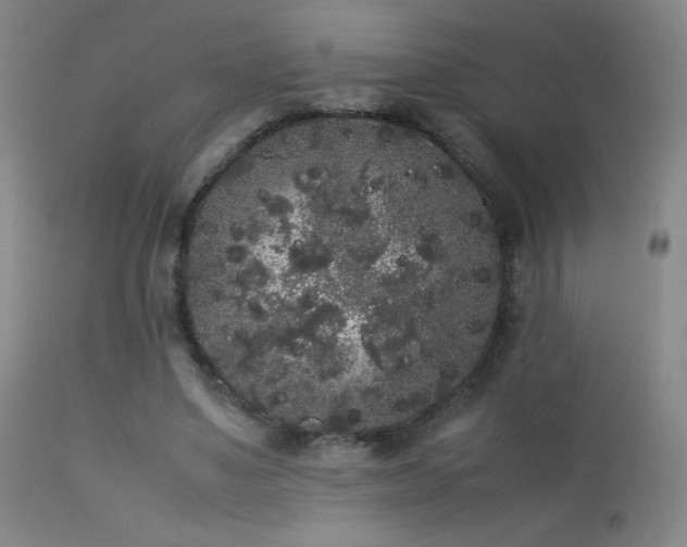 X0000113260491200909171653