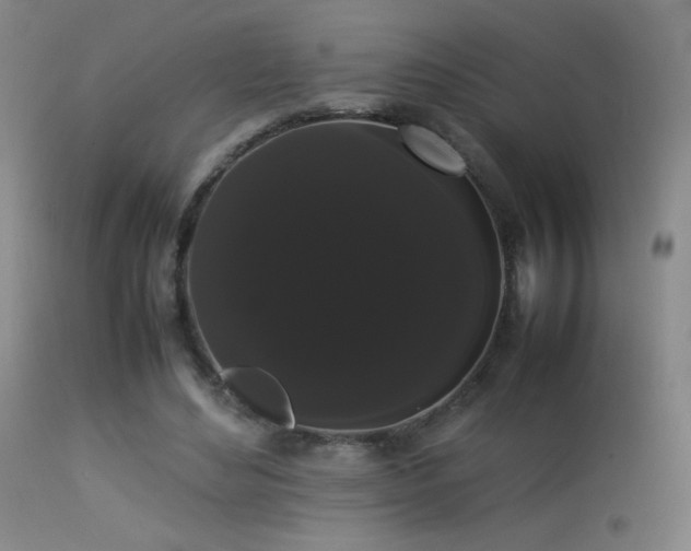 X0000113260492200909171653