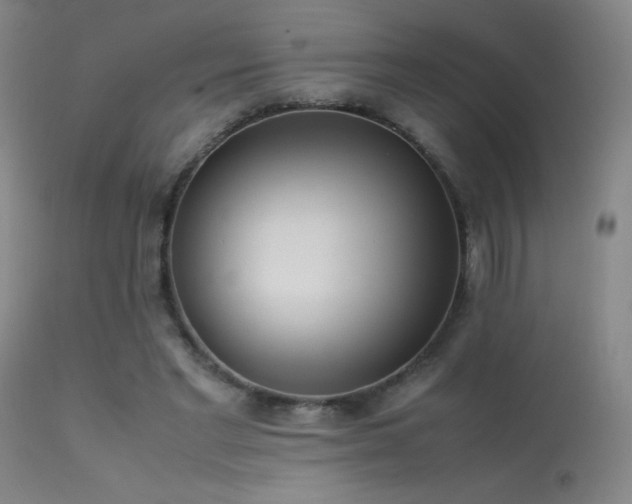 X0000113260493200909171653