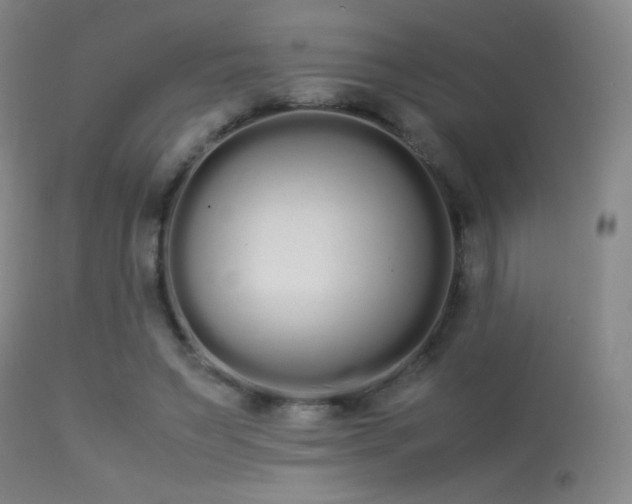 X0000113260495200909171653