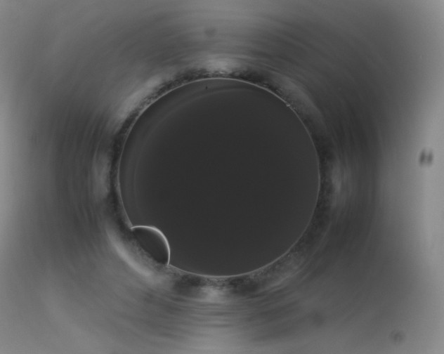 X0000113260496200909171653