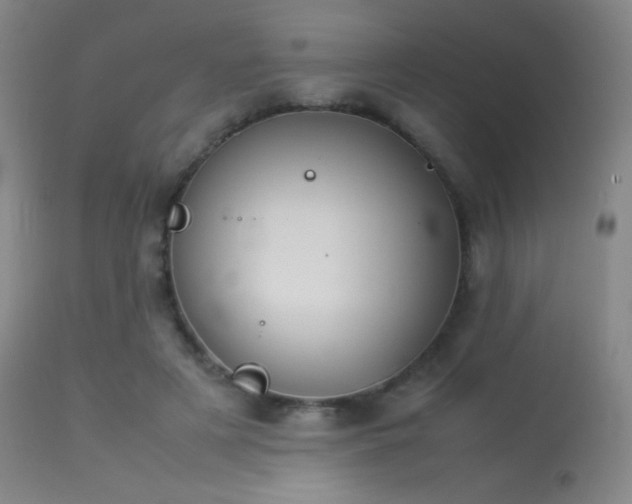 X0000113260497200909171653