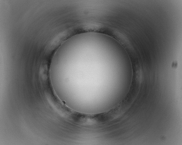 X0000113260498200909171653