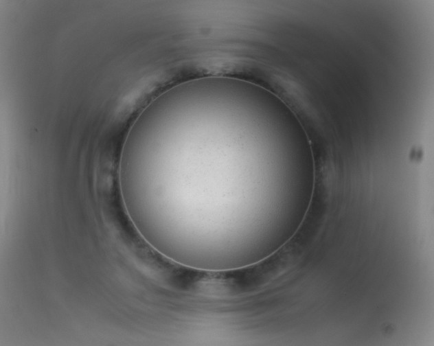 X0000113260499200909171653