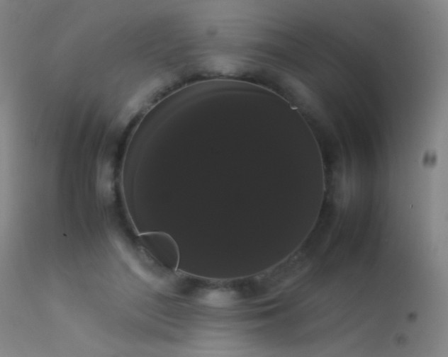 X0000113260500200909171653