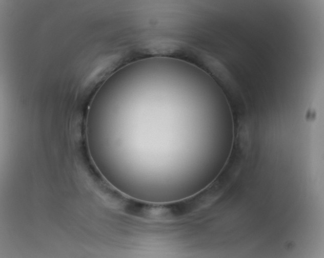 X0000113260501200909171653