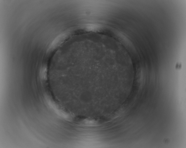 X0000113260502200909171653