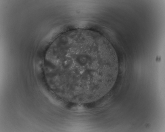 X0000113260503200909171653