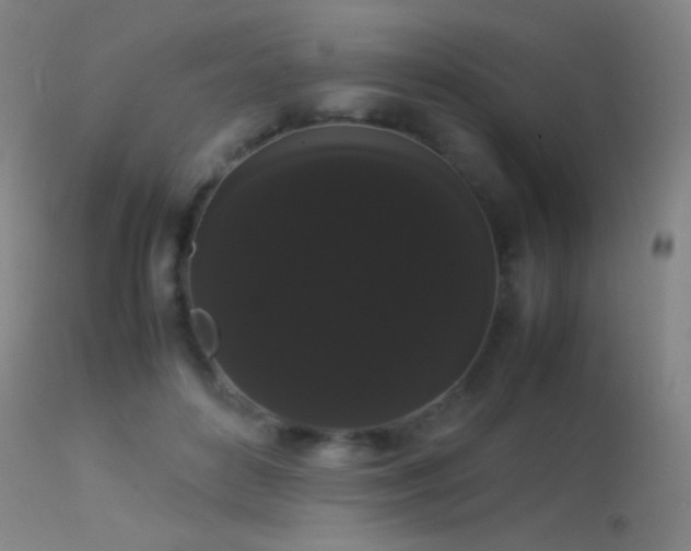 X0000113260504200909171653