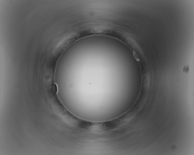 X0000113260505200909171653