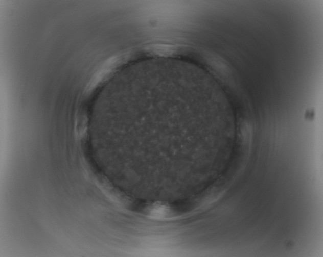 X0000113260507200909171653