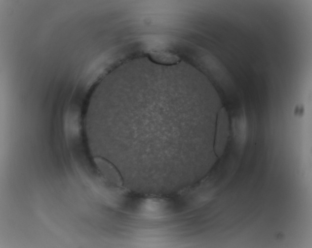 X0000113260508200909171653