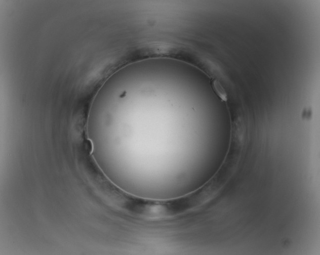 X0000113260509200909171653