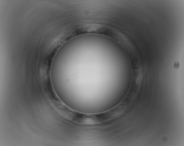 X0000113260510200909171652