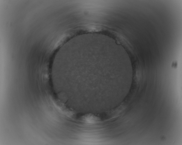 X0000113260512200909171652