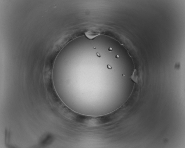 X0000113260513200909171652