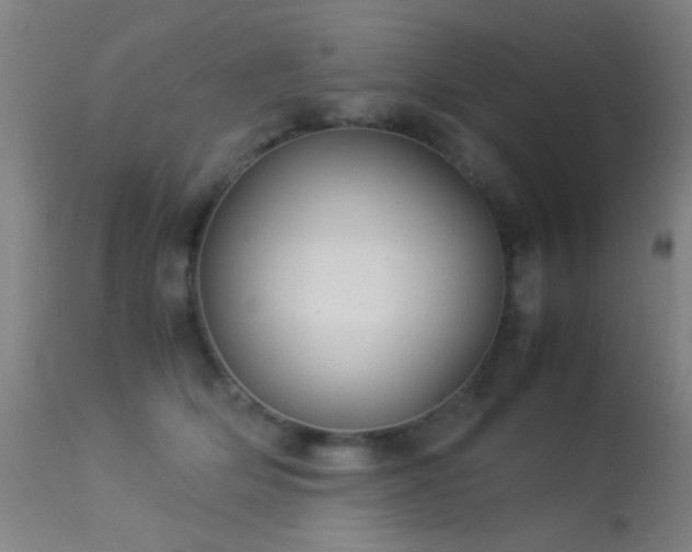 X0000113260514200909171652