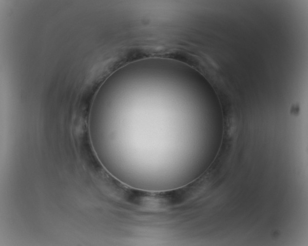 X0000113260515200909171652