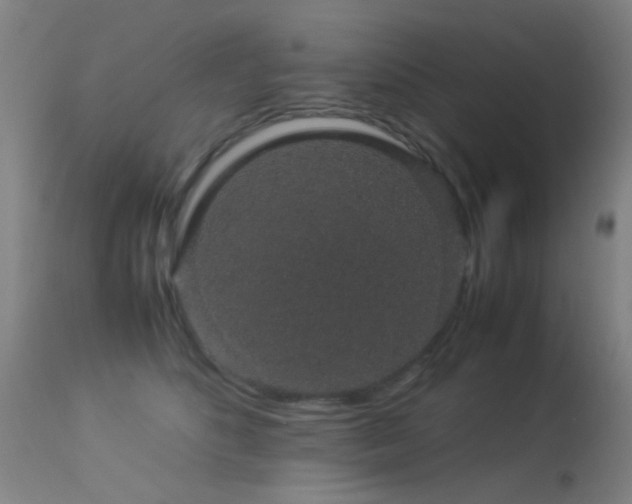 X0000113260516200909171652