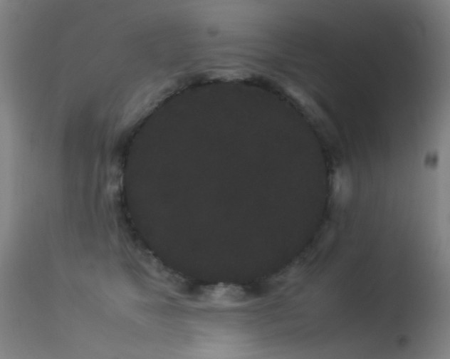 X0000113260517200909171652