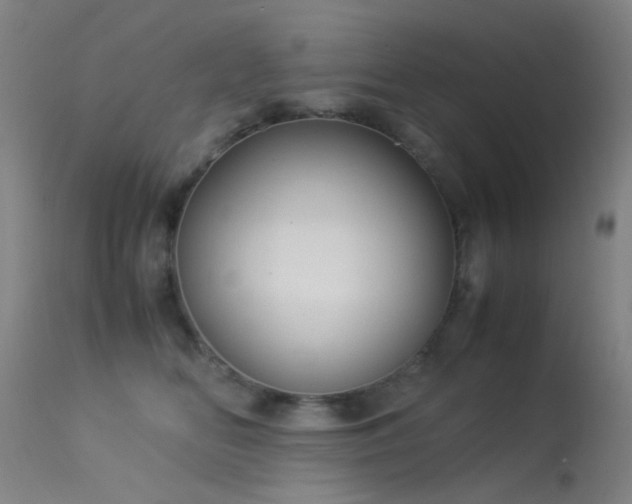 X0000113260518200909171652