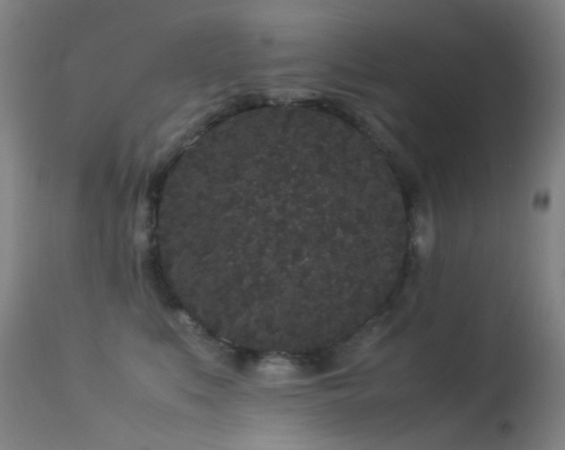 X0000113260519200909171652