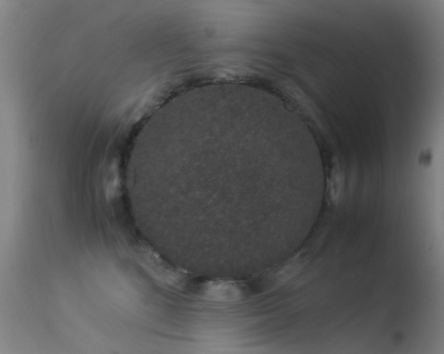 X0000113260520200909171652