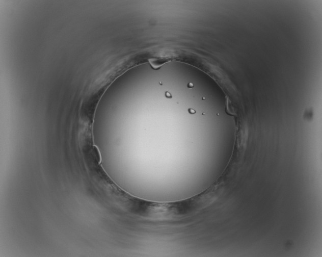 X0000113260521200909171652