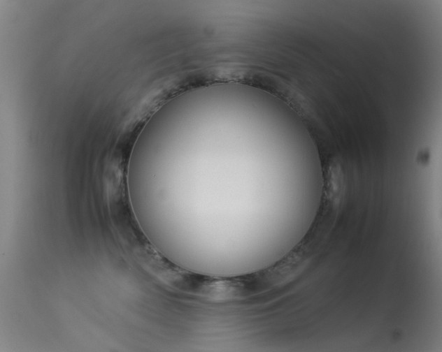 X0000113260522200909171652