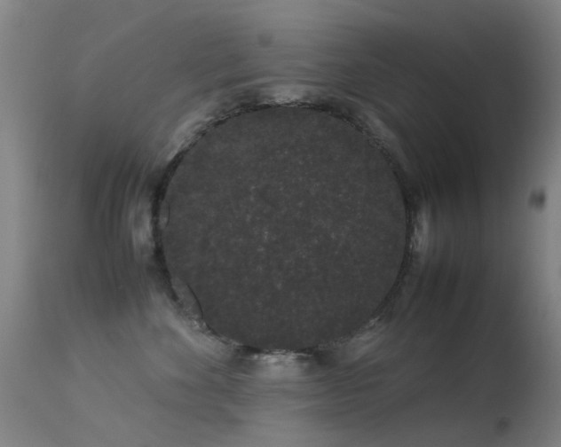 X0000113260524200909171652